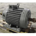 4MTH280S6 (електродвигун 4МТН280Ѕ6 75 кВт 955 об/хв)