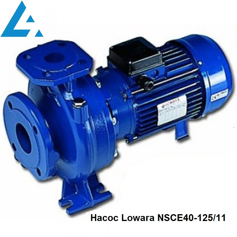 Насос NSCE40-125/11 Lowara (раніше насос FHE40-125/11). Ціна грн Україна