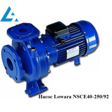 Насос NSCE40-250/92 Lowara (раніше насос FHE40-250/92). Ціна грн Україна