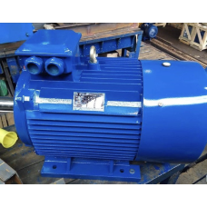 АИР200L8 (електродвигун АИР200L8 22 кВт 750 об/хв)