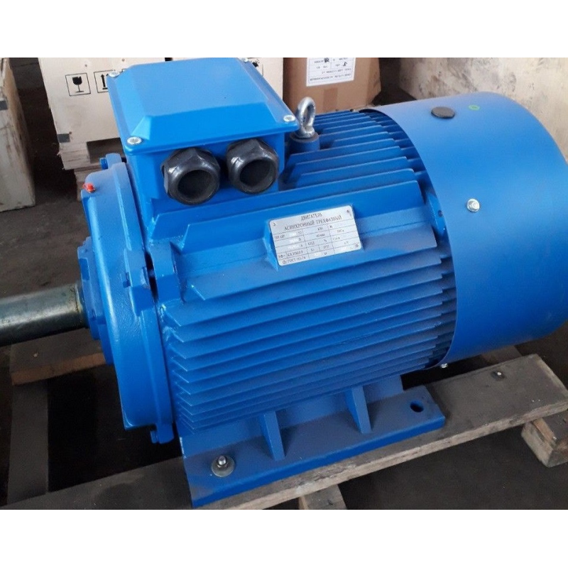 АИР200L2 (електродвигун АИР200L2 45 кВт 3000 об/хв)
