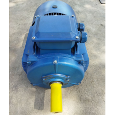 АИР200L4 (електродвигун АИР200L4 45 кВт 1500 об/хв)