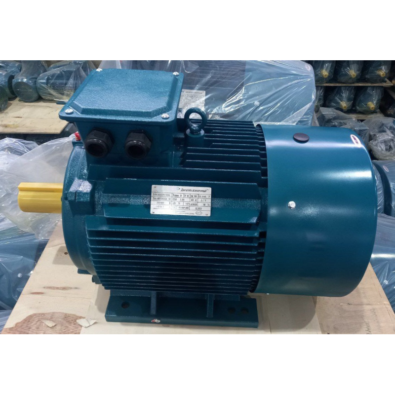 АИР250S4 (електродвигун АИР250S4 75 кВт 1480 об/хв)