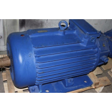4MTH225L8 (електродвигун 4МТН225L8 37 кВт 725 об/хв)