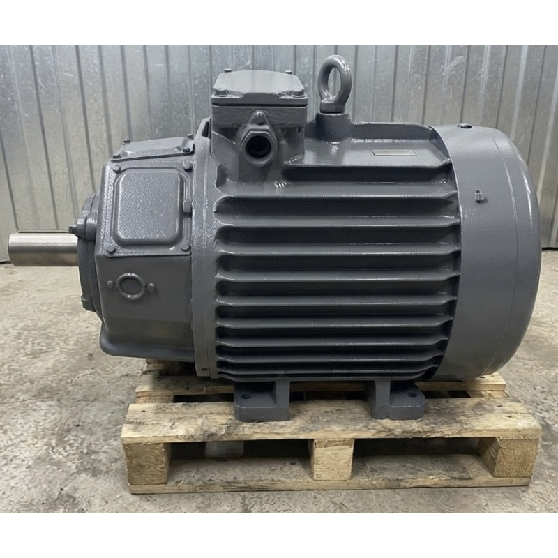 MTF611/10 (електродвигун MTF611/10 45 кВт 570 об/хв)