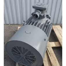 ВРП200L8 (електродвигун ВРП200L8 22 кВт 750 об/хв)